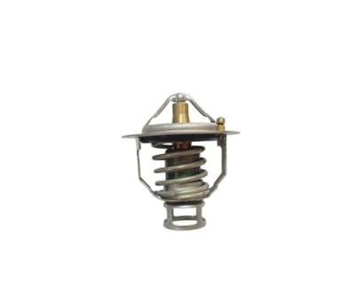 TERMOSTATO 82gr 64mm