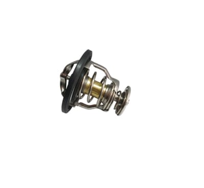 TERMOSTATO 82GR 54MM