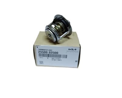 TERMOSTATO ORIGINAL HYUNDAI/KIA1