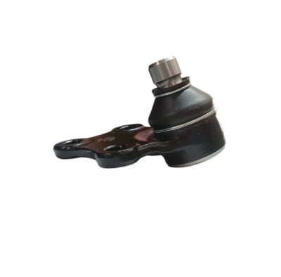 ROTULA INFERIOR DERECHA O IZQUIERDA