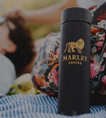 Travel termo negro Marley 500ml