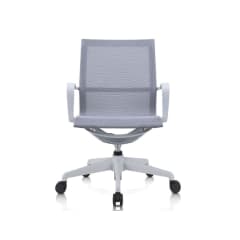 Ibis Gris