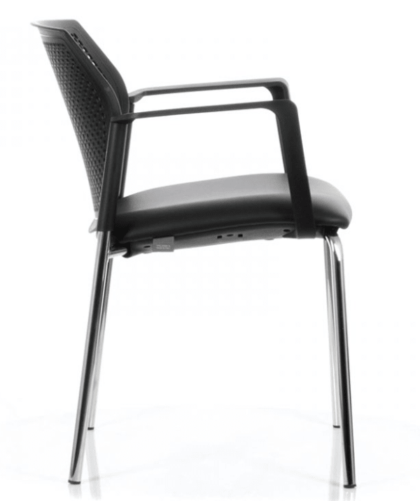 Logan Trineo Respaldo PP2