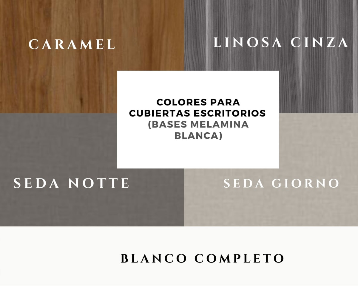 Escritorio Modelo Fenix14