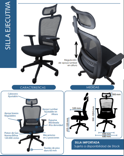 Silla Eko Ergo con cabecero1