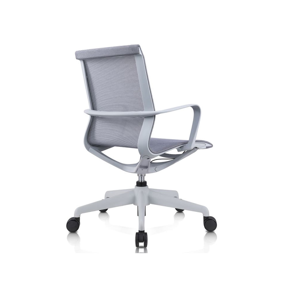 Ibis Gris3