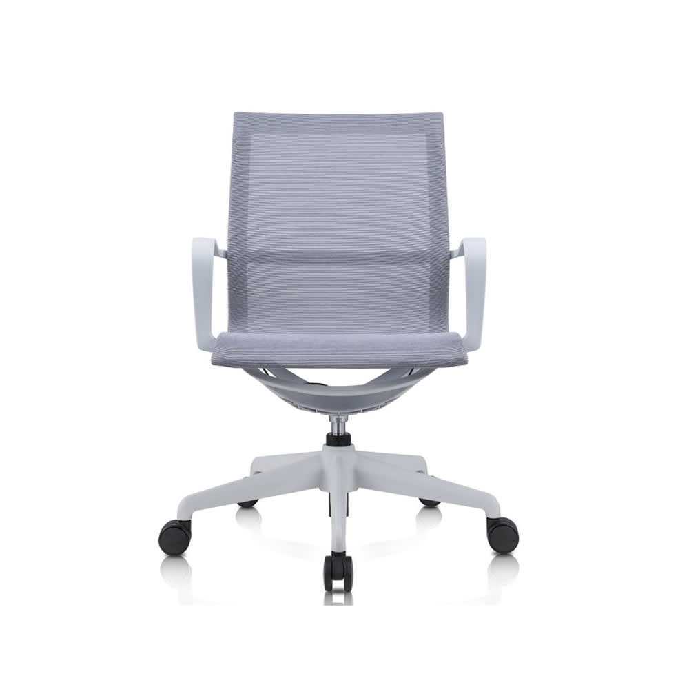 Ibis Gris1