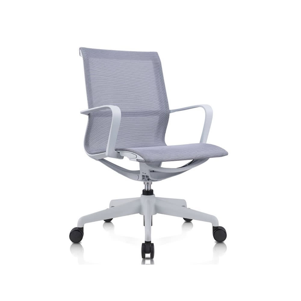 Ibis Gris2