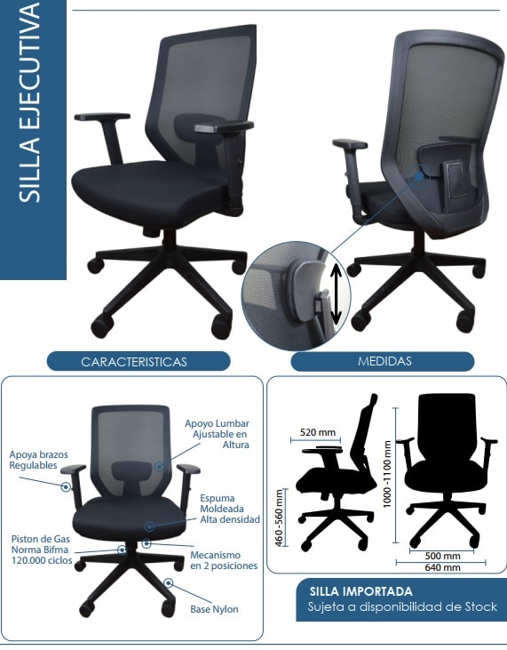 Kleber Apoyo Lumbar1