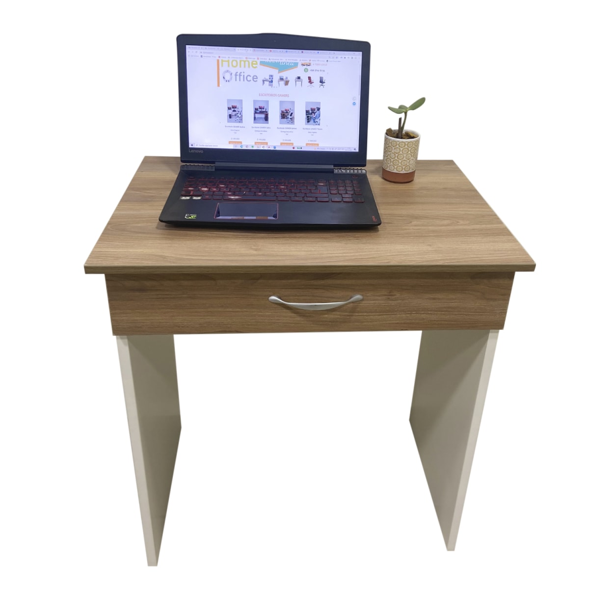 Escritorio Modelo Ray4