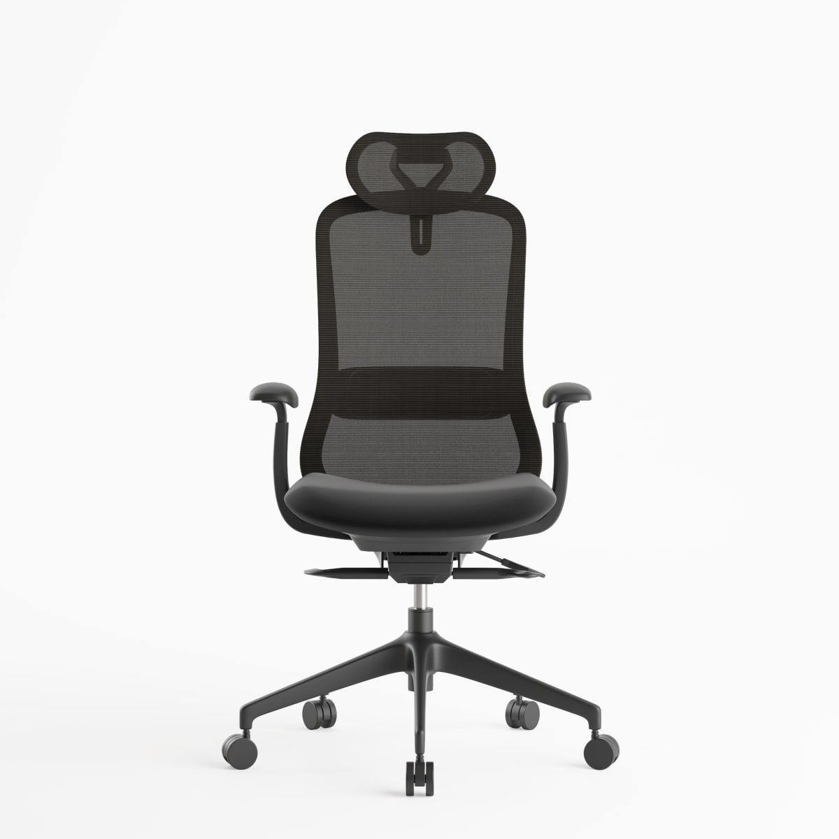 Silla Bes1