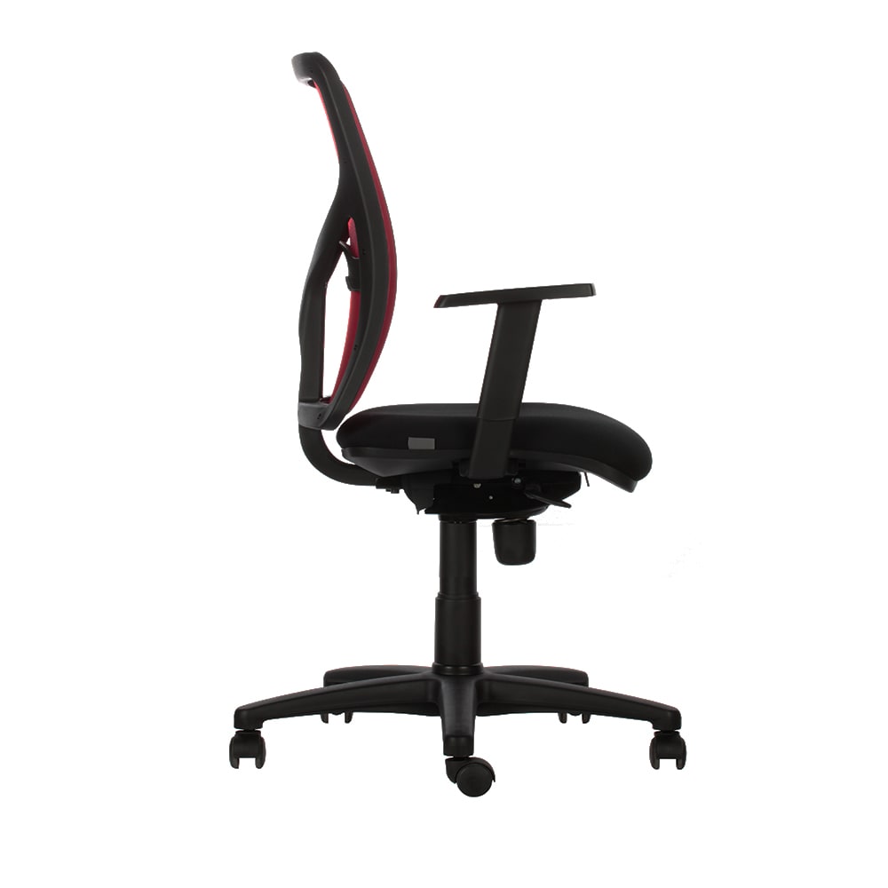 Y10 Alta2