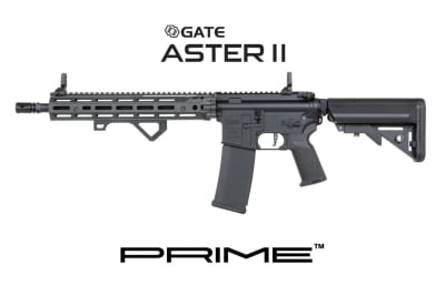 SPECNA ARMS & DANIEL DEFENSE - SA-P28 Prime™ RIS III 12,5'' ASTER II ETU (Gray)