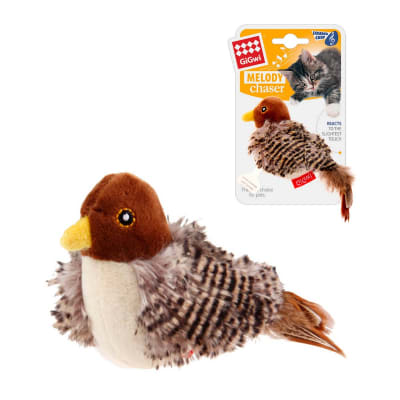 Gigwi Pajaro Melody Chaser