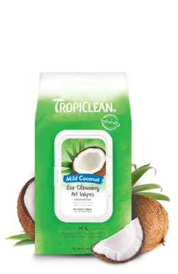 Toallitas Ear Cleaning Coconut 50 un1