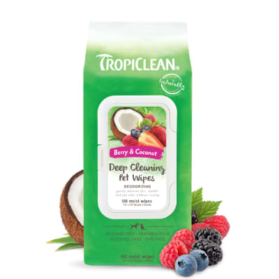 Toallitas Deep Cleaning Berry&Coconut 100 un1