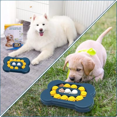 Juguete Interactivo Para Mascota