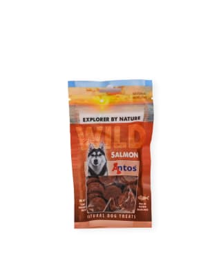 Antos Dog Wild Salmon 80 gr1