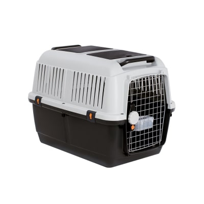 Transportadora Bracco 8