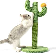 Rascador Forma Cactus