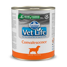 Vet Life WF Convalescence 300 gr