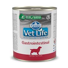 Vet Life WF Dog Gastrointestinal 300 gr1