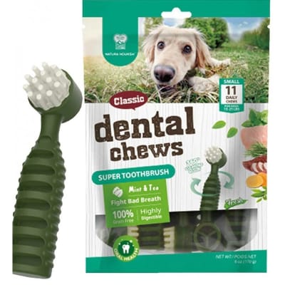 Dental Chews Menta 170 g1