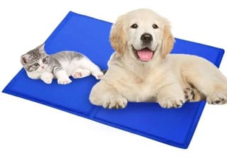 Manta Refrescante Talla M