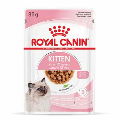 royal sobre instinctive kitten cats1
