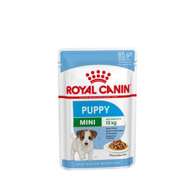 Royal sobre mini puppy1