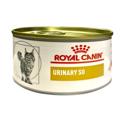 Urinary Lata Royal Canin Feline