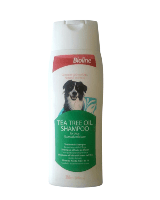 shampoo aceite de aloe vera de té1