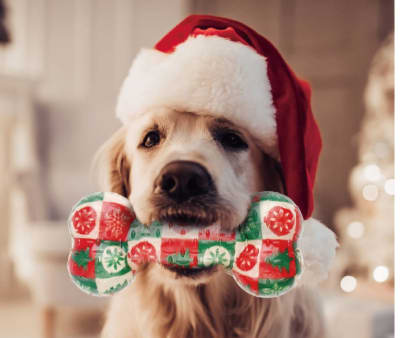 Gigwi TPR Bone Navidad