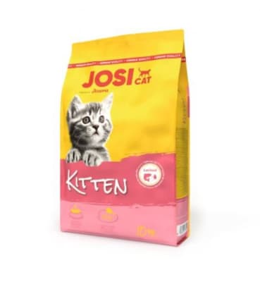 Josicat kitten 1.9 kilos1