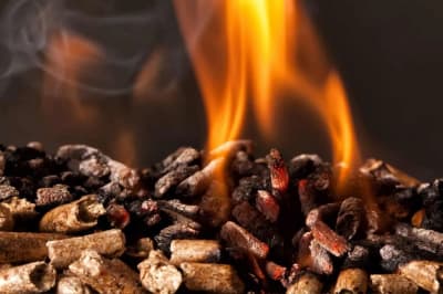 Pellet Calor saco 15 kg