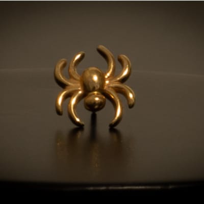 Spider oro 14k