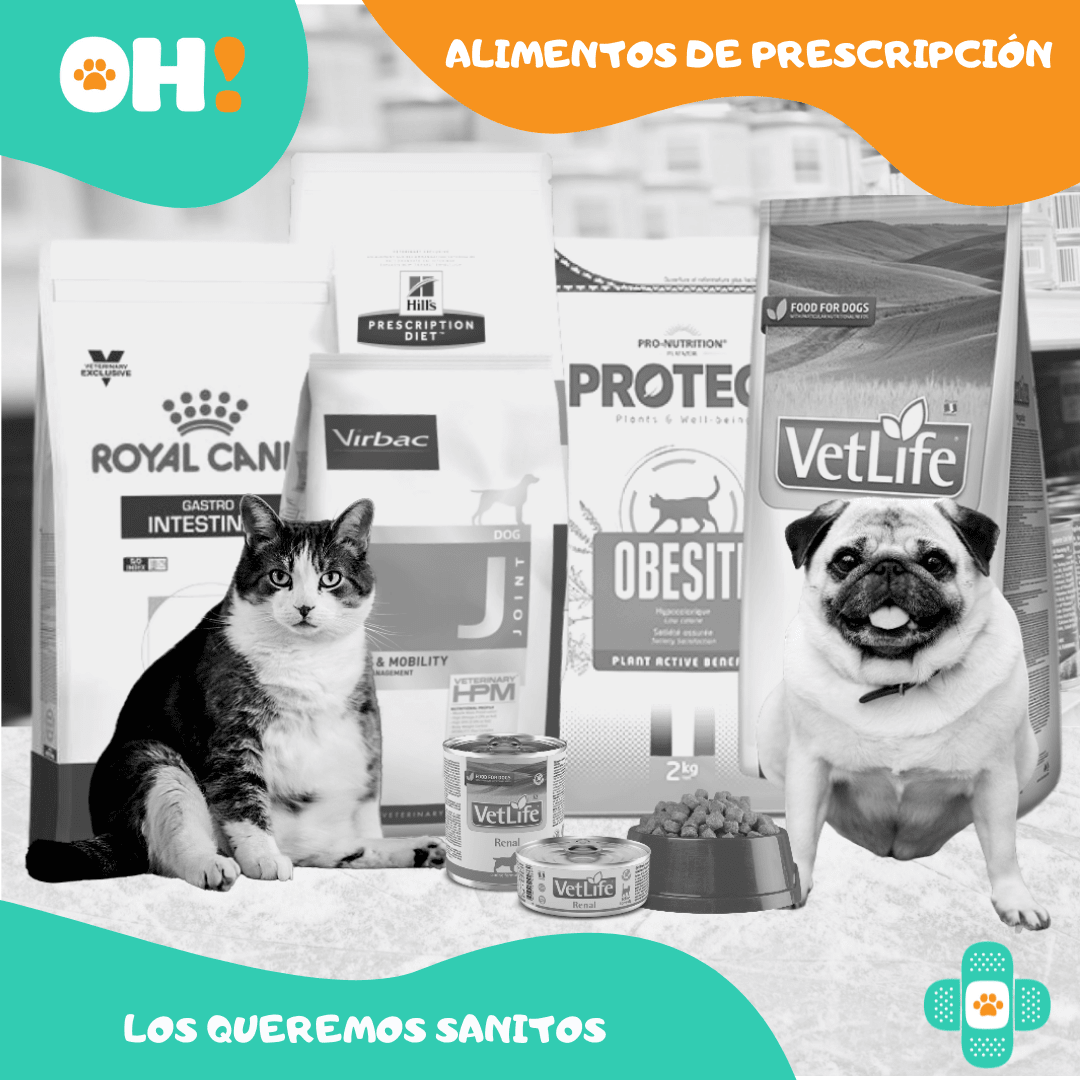 https:  ohpets.bsalemarket.comalimentos de prescripcion veterinaria