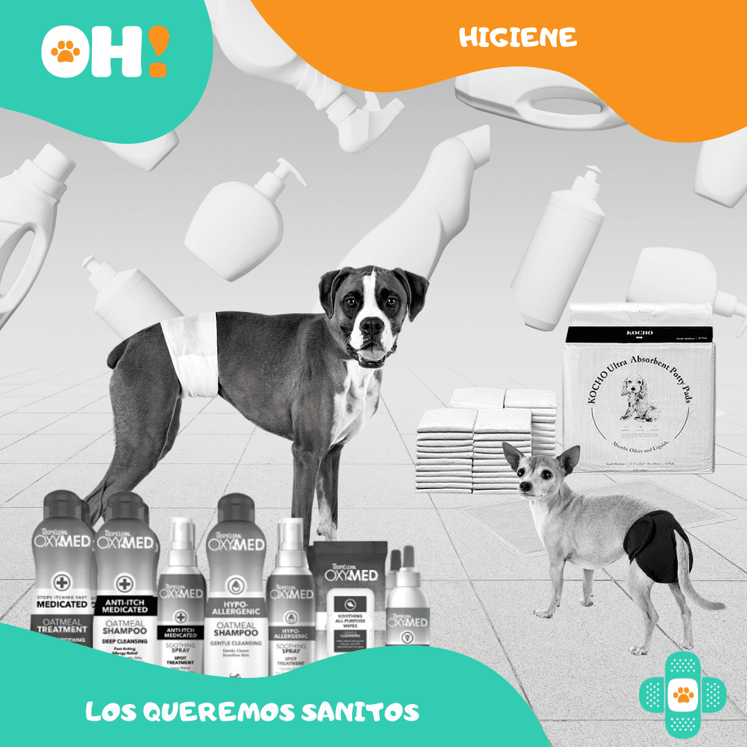 https:  ohpets.bsalemarket.comhigiene