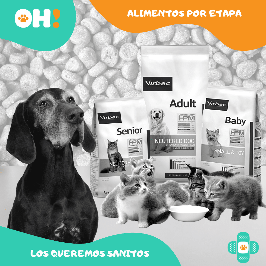 https:  ohpets.bsalemarket.comalimentos segun etapa