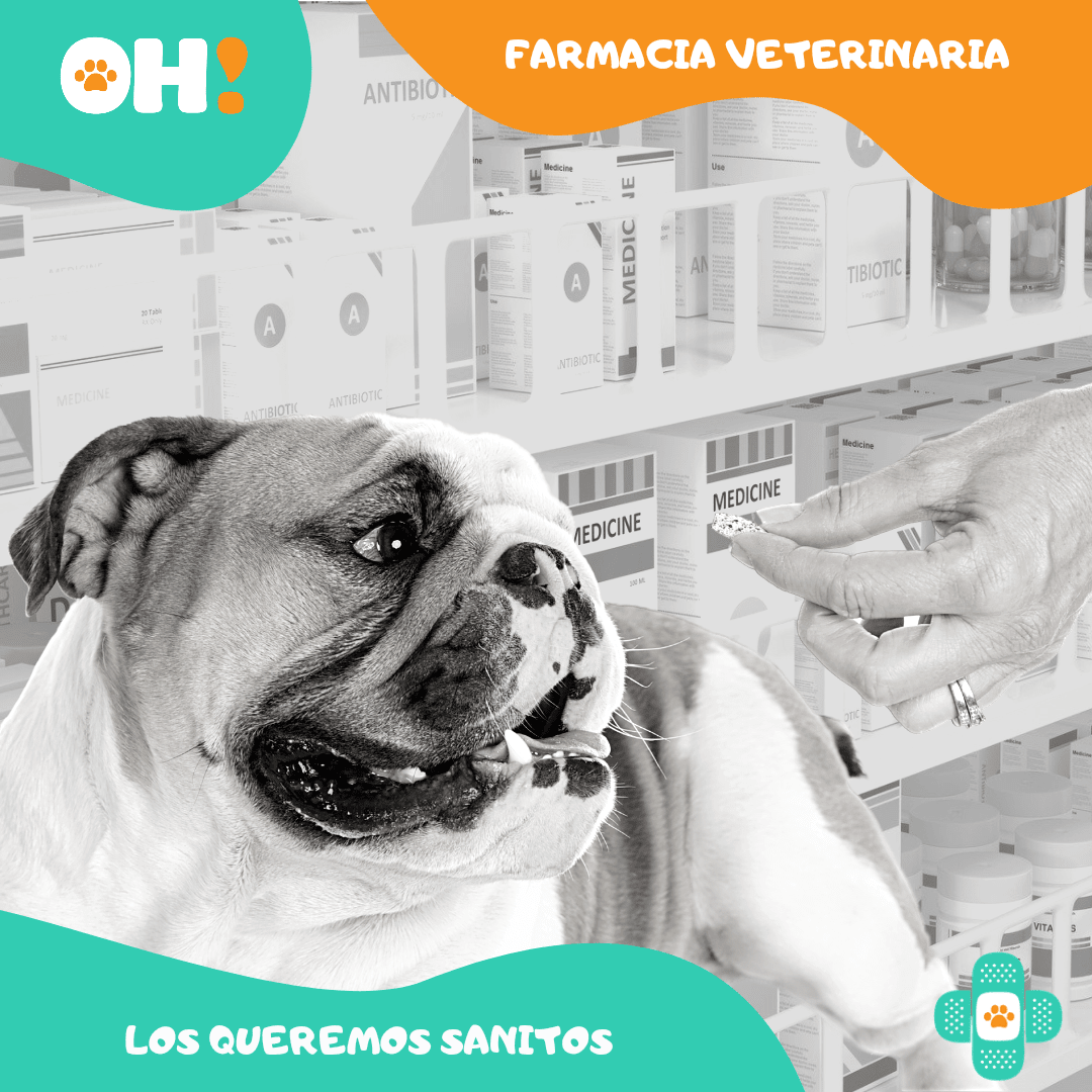 https:  ohpets.bsalemarket.comfarmacia