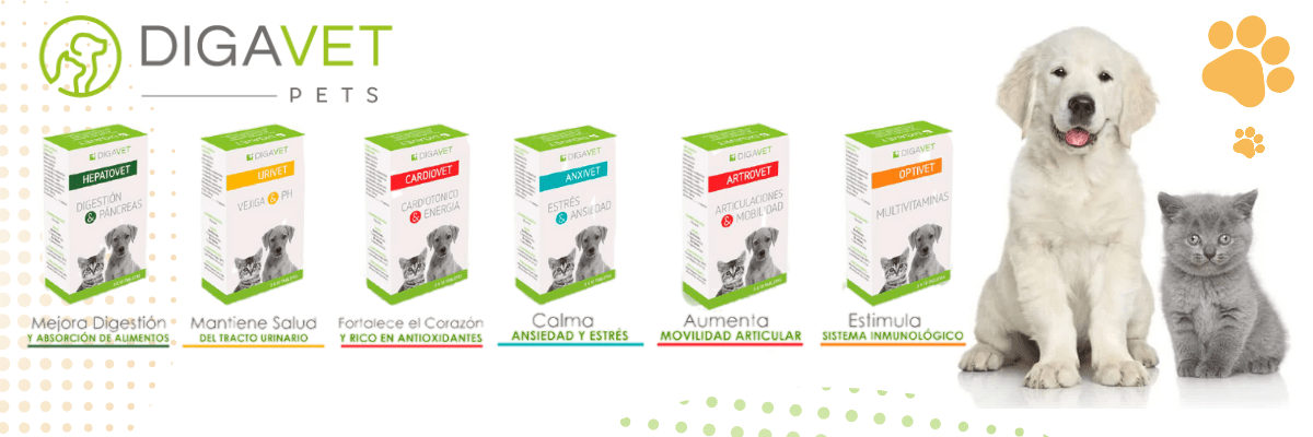 https:  www.ohpets.cl search?search_text=digavet&limit=9&order=relevance&way=DESC