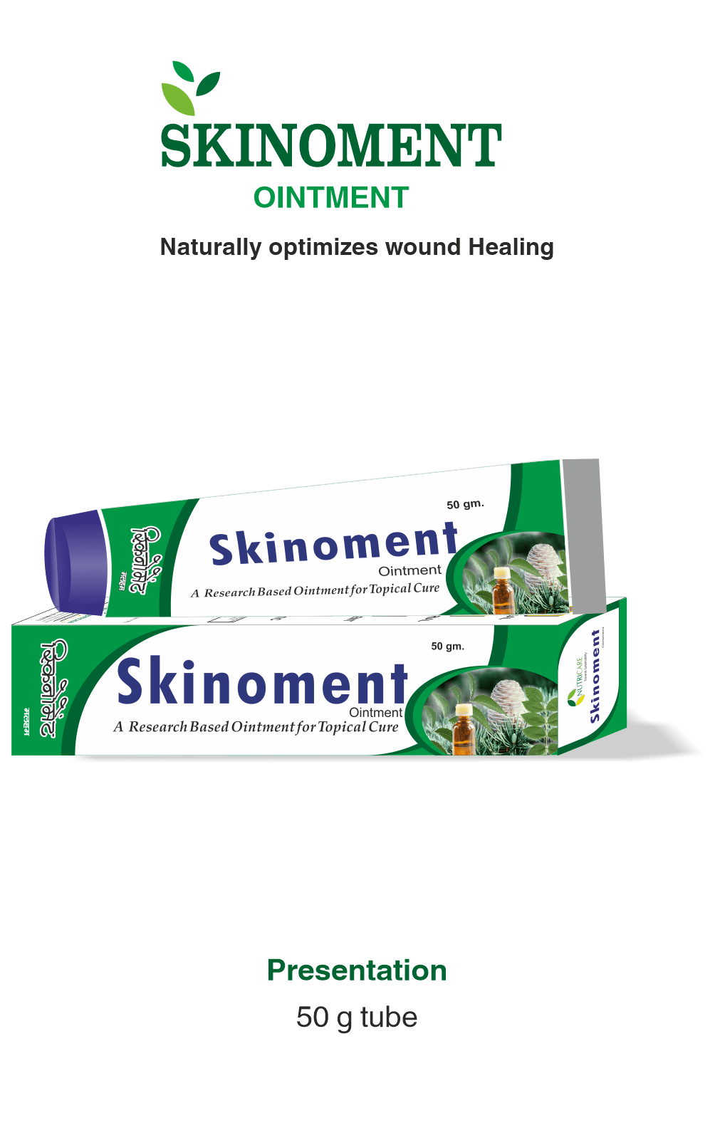 SKINOMENT POMADA DERMICA1