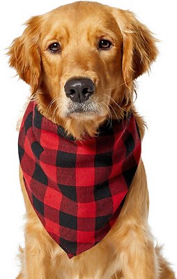 BANDANA4