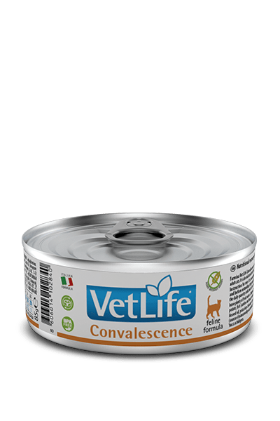 VETLIFE FELINO CONVALESCENCE LATA1
