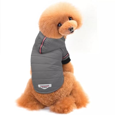 PARKA CON CAPUCHA