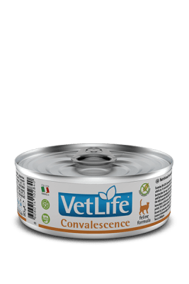 VETLIFE FELINO CONVALESCENCE LATA