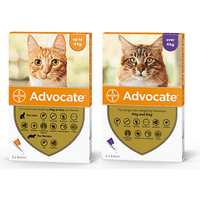 ADVOCATE PIPETA GATO