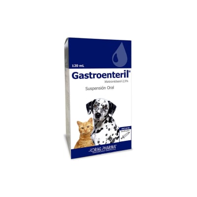 GASTROENTERIL