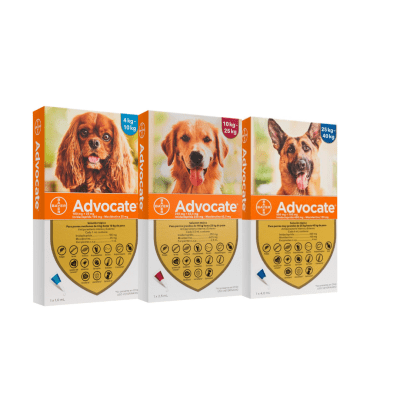 ADVOCATE PIPETA PARA PERROS