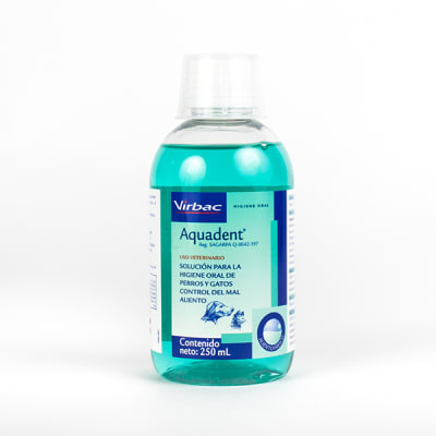 AQUADENT